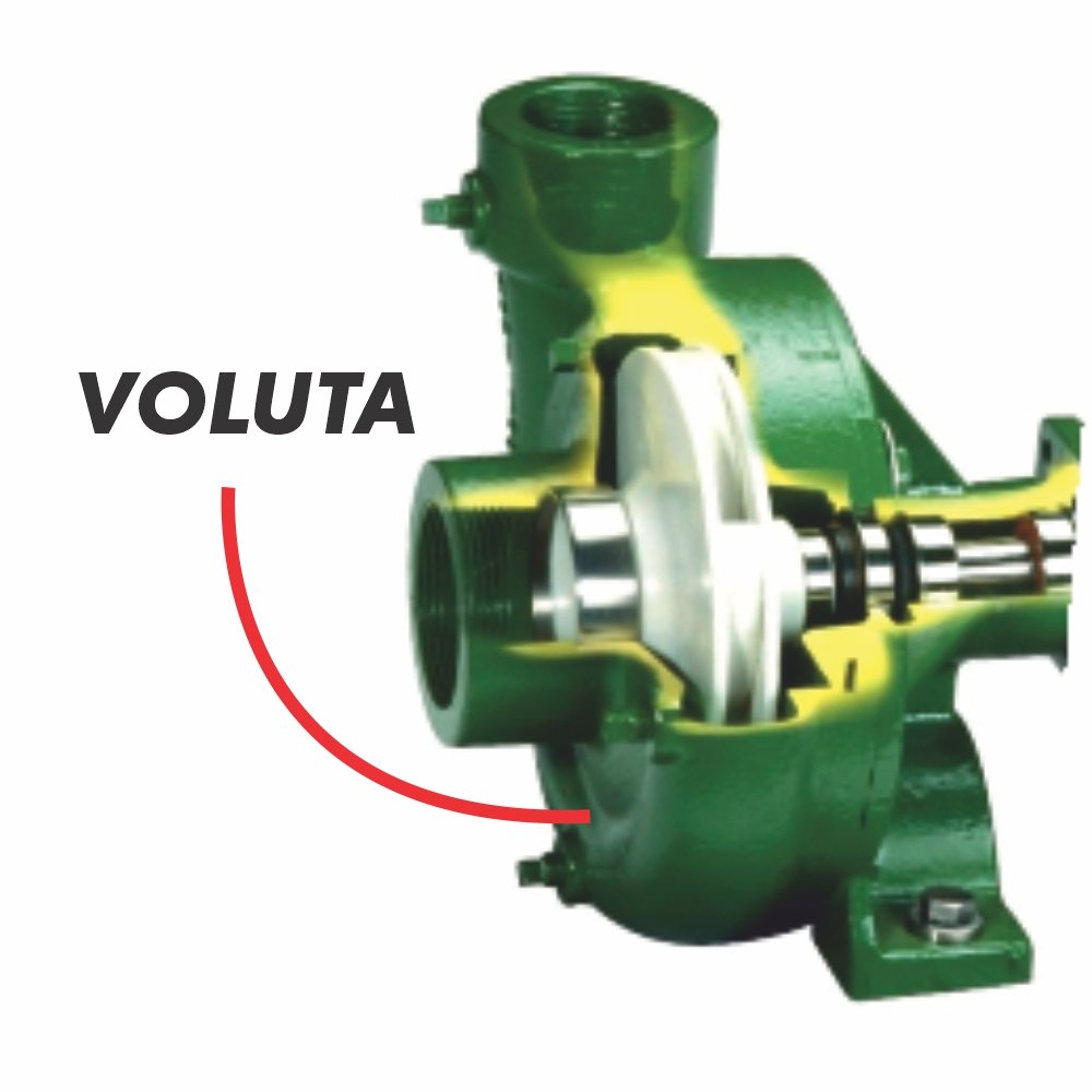 voluta-ace-fmc-75-hyd-206-poly