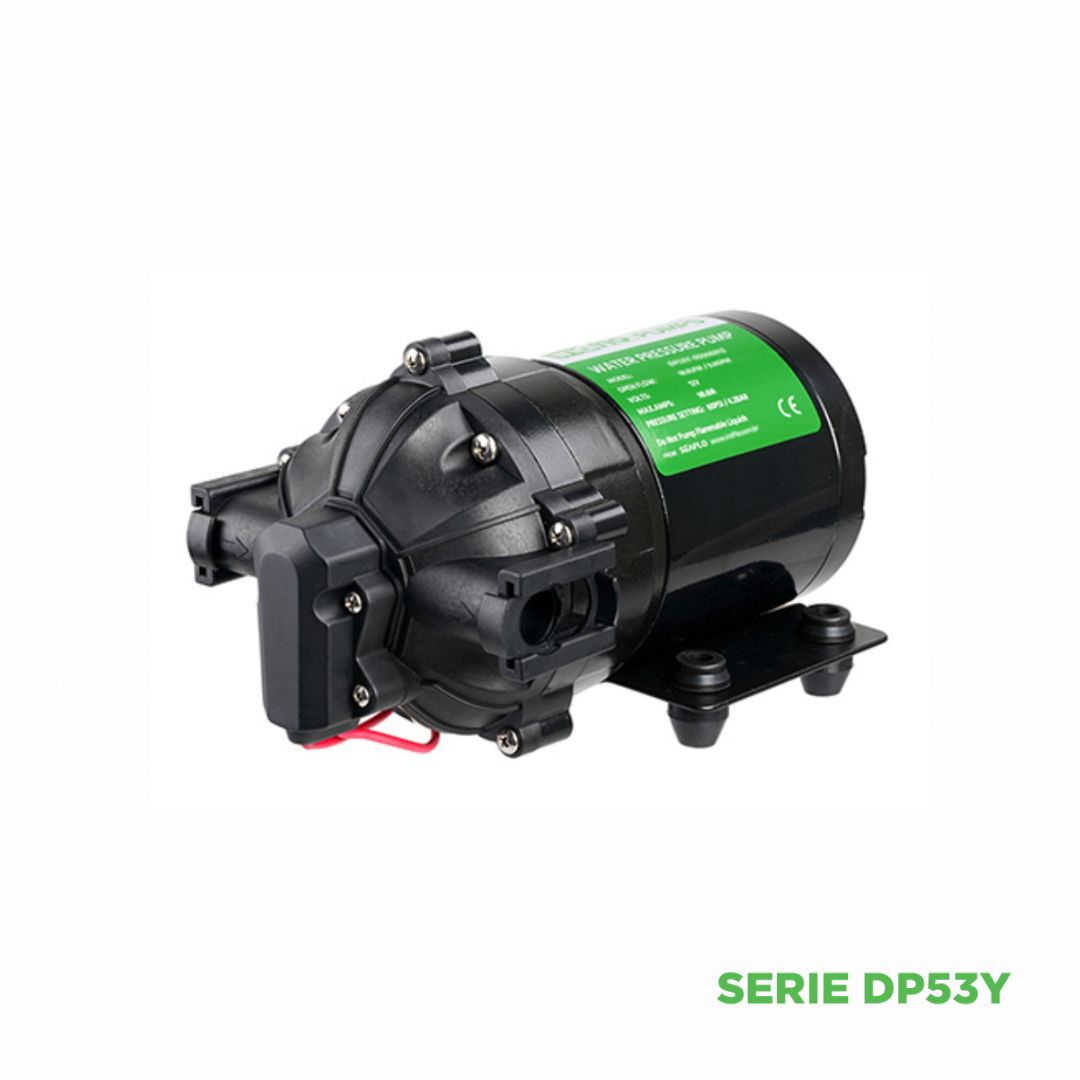 bomba-12v-indflo-26lt-4-bar-viton-xanto-switch-serie-dp53a-14695